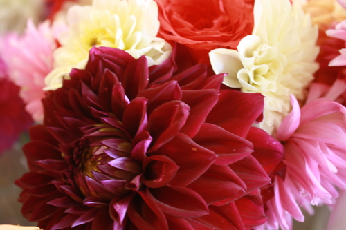 Bates/Ross Wedding 2013 | Dahlia Arrangements Bouquets