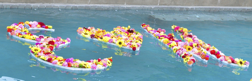Dahlias Floating in Swimming Pool | Dahlia Wedding Cakes Arrangements