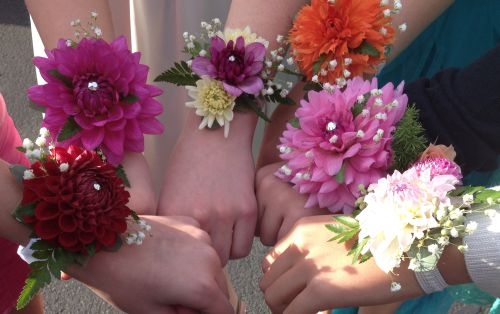 Corsages for Homecoming 2013 | Dahlia Wedding Bride Bouquets